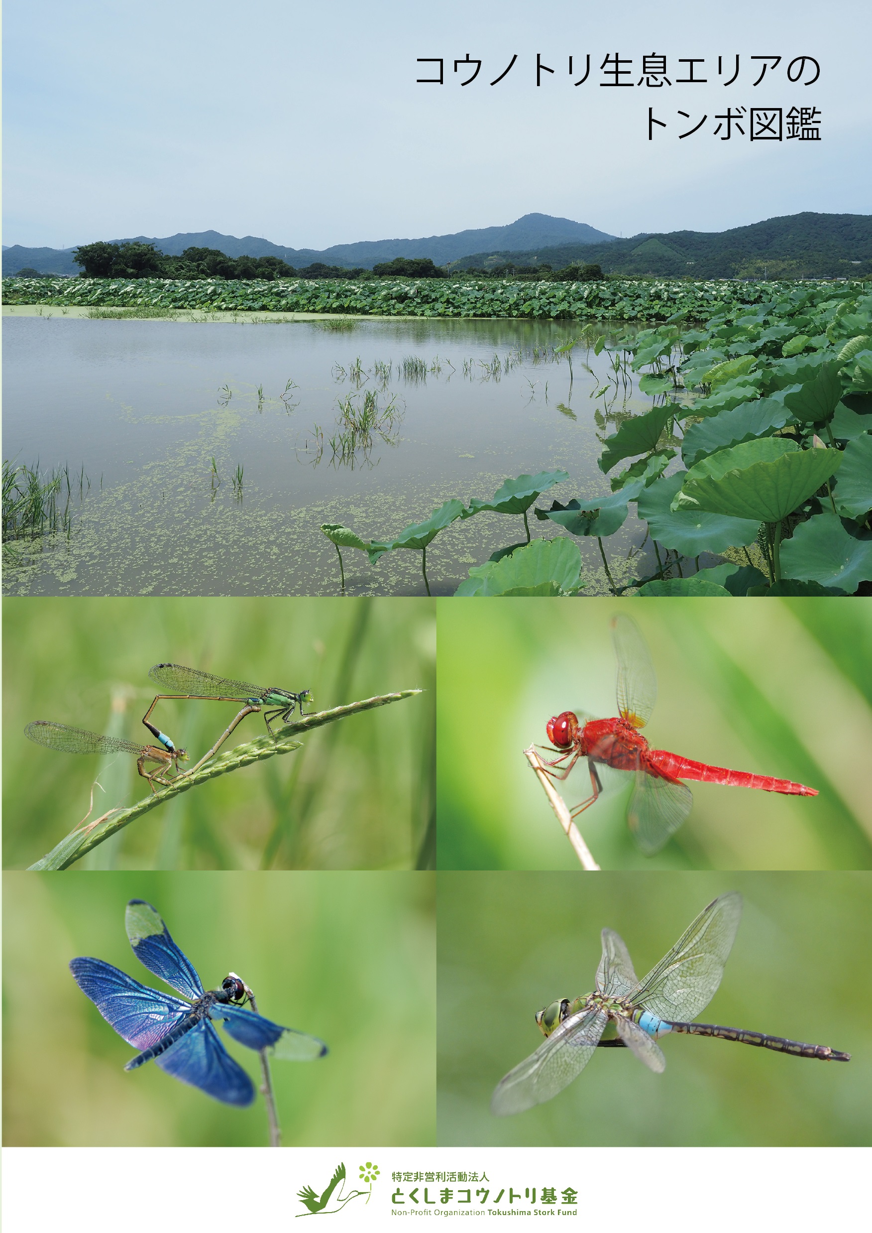 コウノトリ生息エリアのトンボ図鑑 を発行しました 特定非営利活動法人 とくしまコウノトリ基金